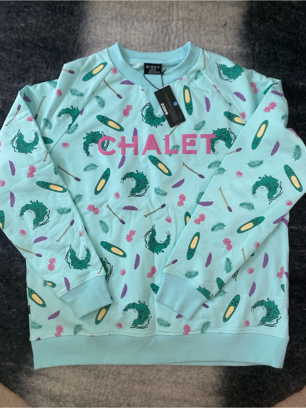 BIRDZ Chalet Women's Mint Graphic Sweatshirt XL NWT